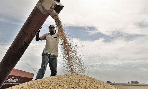 La trilla continúa avanzando en la Argentina, pero los productores están vendiendo lo justo a la espera de mejores precios.