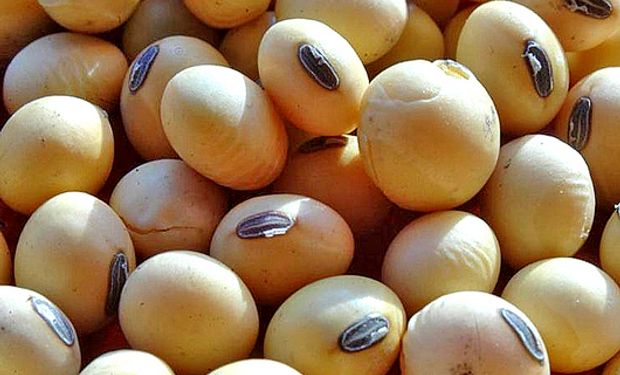 Chicago: según fuentes del mercado se observaron compras de los fondos en todos los productos.