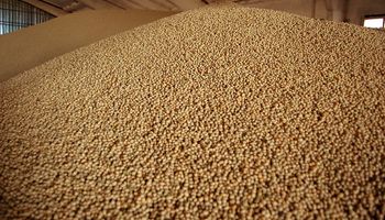 Con foco en Brasil, llegan los futuros de soja sudamericana: desde cuándo estarán disponibles y cómo cotizarán