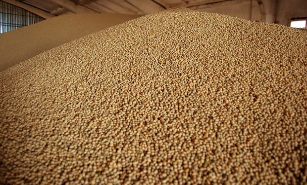 Con foco en Brasil, llegan los futuros de soja sudamericana: desde cuándo estarán disponibles y cómo cotizarán