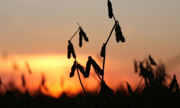 El apoyo adicional provino del clima húmedo en algunas zonas del Medio Oeste de los Estados Unidos que amenaza con retrasar la siembra.