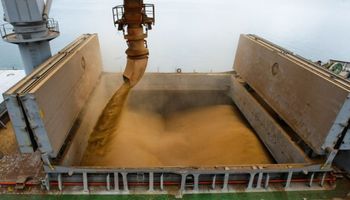 Cifras de exportación otorgaron sostén a la soja en Chicago