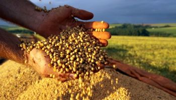 El fin de una etapa: la soja ya no será superabundante en Argentina