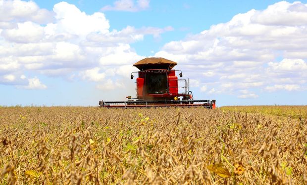 Cotação da soja cai no Brasil, mas seca na Argentina sustenta alta em Chicago