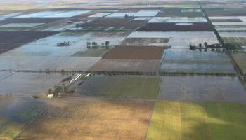 Soja: pérdidas de superficie se ubican por debajo de las 400.000 hectáreas