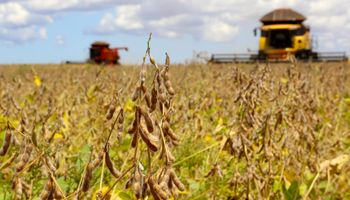 Em queda: PIB do agronegócio cai 3,5% no ano, aponta Cepea