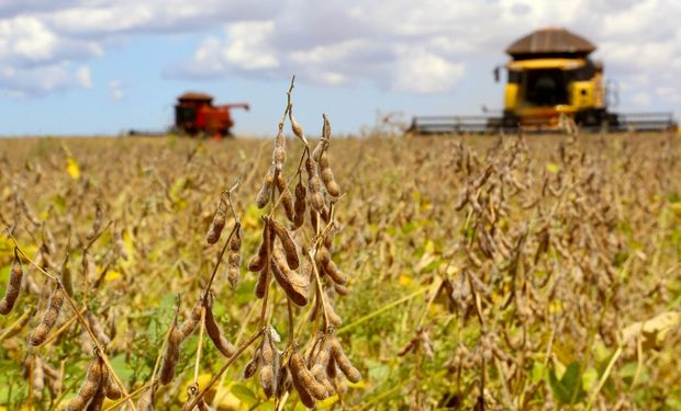 Em queda: PIB do agronegócio cai 3,5% no ano, aponta Cepea