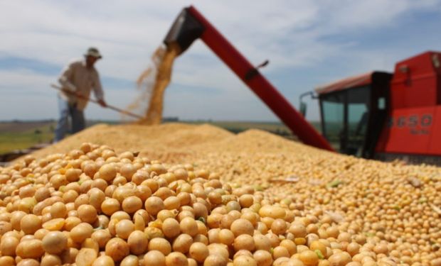 Produção de soja está estimada em 169,5 milhões de toneladas, crescimento de 14,7% em relação à safra anterior. (Foto - Governo MS)