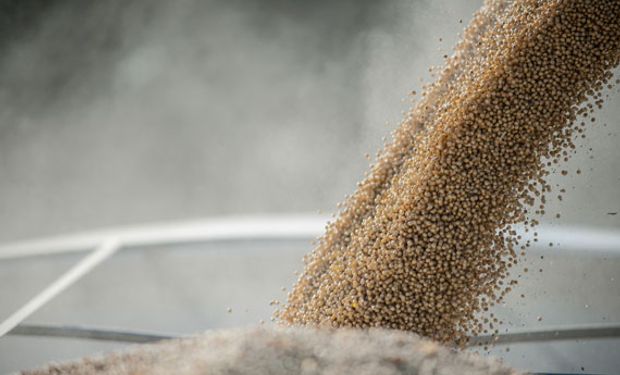 Carlos Heller sostiene que los valores de los campos es un claro indicador en cuanto a que se mantiene la rentabilidad agropecuaria.