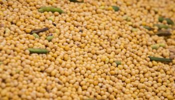 Decisão da Argentina de zerar impostos de exportação pressiona agro brasileiro