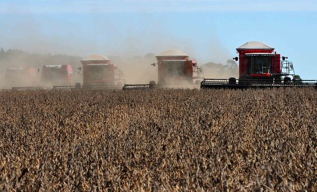O grande destaque é a soja, que pode alcançar 21,4 milhões de toneladas, avanço de 57,1%. (Foto: Fernando Dias/Seapa)