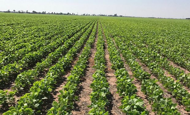 Santa Fe entregará incentivos económicos para los productores que apliquen el programa de Buenas Prácticas Agropecuarias