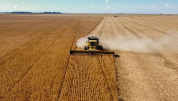 Produtor afirma safra de 120,2 sacas de soja por hectare em regime de sequeiro