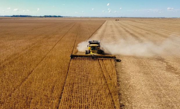 Datagro projeta recorde nas safras de soja e de milho acima da Conab