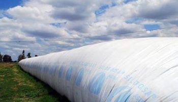 Aún queda el 40% de la cosecha de soja sin vender