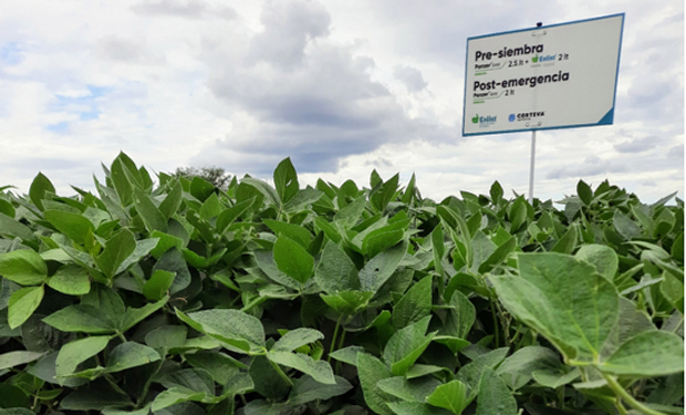 Una nueva agricultura: se presenta este mes el Sistema Enlist para los productores argentinos