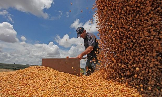 Mirá los primeros datos del USDA de junio.