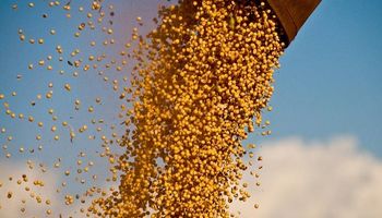 Aún sin CBOT, el arranque de semana fue positivo