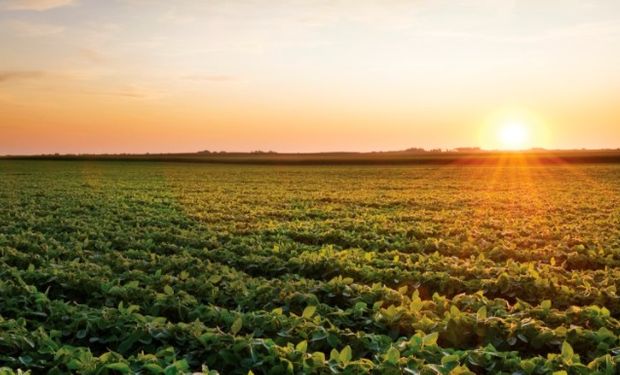 Incertidumbre climática se suma a las enormes posiciones vendidas de los fondos.