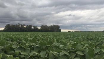 Alerta por tormentas en la región centro: puede llover hasta 90 milímetros