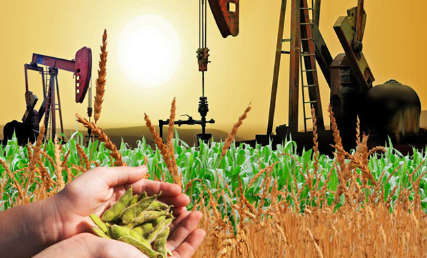 Soja, trigo y maíz vs petróleo: por qué este año "la situación es distinta"