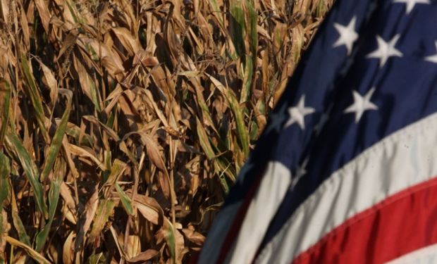 El dato: hay menos soja y maíz de lo que se creía en Estados Unidos