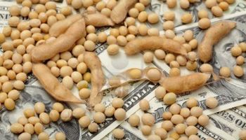 La Niña: los operadores siguen apostando por subas en el precio de la soja
