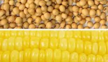 Noticias agrícolas del día