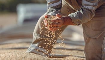 Oportunidad para el campo: se sumó otro banco a la plataforma de financiamiento que ya usan más de 6.000 productores