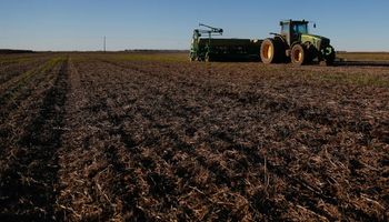 La sequía dejó al 35 % de la soja de primera en condiciones de regulares a malas en zona núcleo