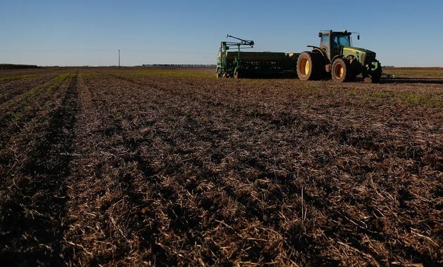 La sequía dejó al 35 % de la soja de primera en condiciones de regulares a malas en zona núcleo