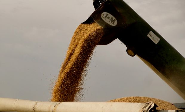 La Bolsa de Cereales de Buenos Aires redujo en 3 millones de toneladas la producción de soja Argentina, llevándola a 51 millones.