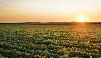 La estabilidad se afianza y comenzarán a subir las temperaturas