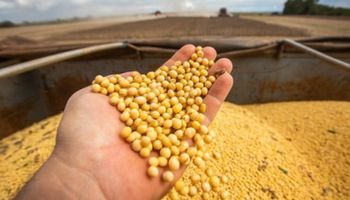 Brasil pode colher safra recorde de soja em 2025/26 com quase 180 milhões de toneladas