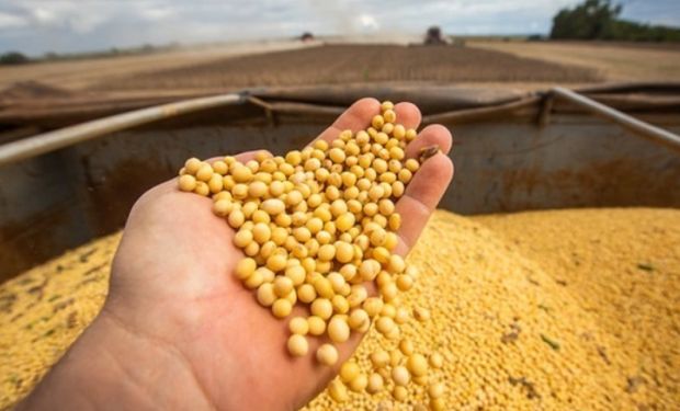 Brasil pode colher safra recorde de soja em 2025/26 com quase 180 milhões de toneladas