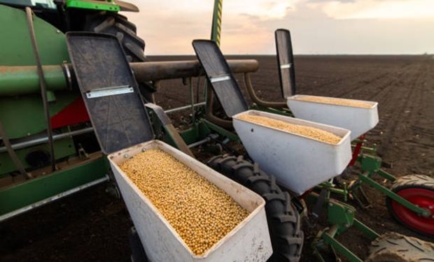La soja le gana terreno al maíz  y girasol: se proyecta un aumento de 200.000 hectáreas