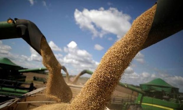El precio de la soja se mantiene por encima de los $100.000 y el trigo se lleva las mayores ganancias en Chicago