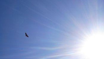 Pocas lluvias y elevadas temperaturas