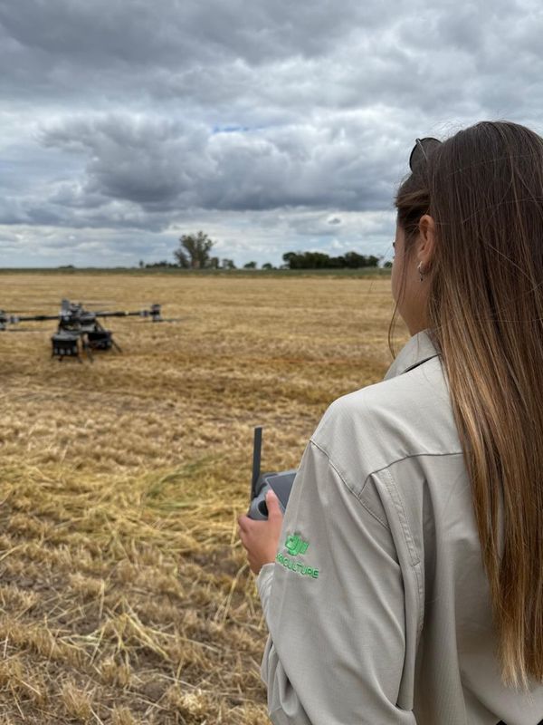 sol bravo manejando un drone agricola