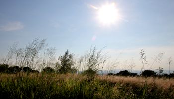 Calor agobiante: mañana llegarían las lluvias