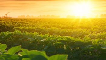Inmet: previsão climática de setembro acende alerta para o agro no Brasil