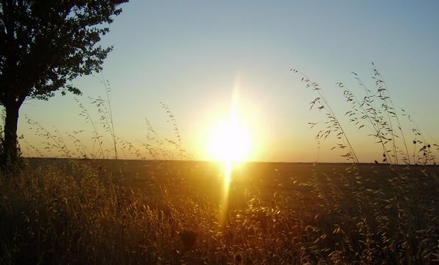 Sigue la ola de calor con elevadas máximas