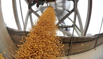 Solidez productiva en la cadena agroindustrial de la soja