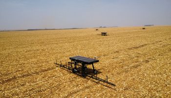 Enxame de robôs surpreende com resultado em grande fazenda de grãos no Brasil