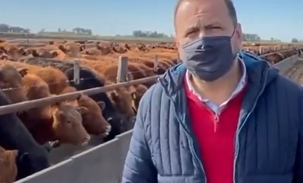 Carne: dura respuesta de productores a un funcionario que visitó un feedlot