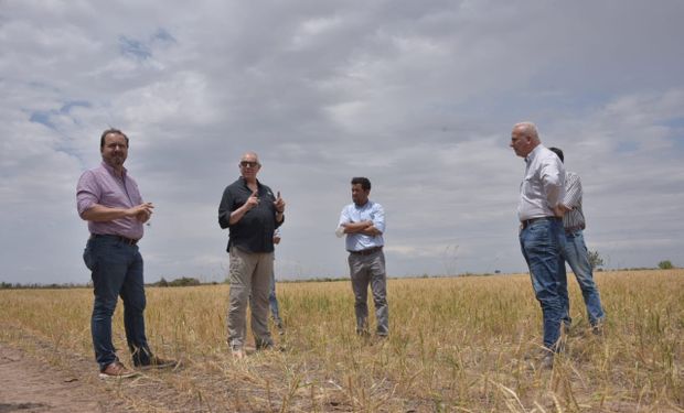 En medio de los rumores de intervención, Solmi habló del trigo y de sostener un "cara a cara con los productores"