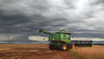 El precio de la soja cayó por la presión de las perspectivas productivas en Sudamérica