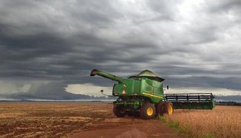 Sube la soja por tercera rueda consecutiva frente a una posible demora de la cosecha en Brasil