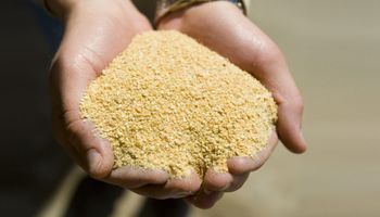 Hay "optimismo" por la apertura de China a la harina y el aceite de soja de la Argentina
