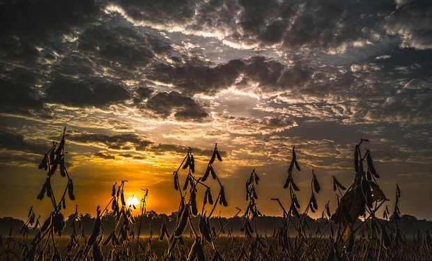 El USDA compartió las cifras del Reporte de abril.